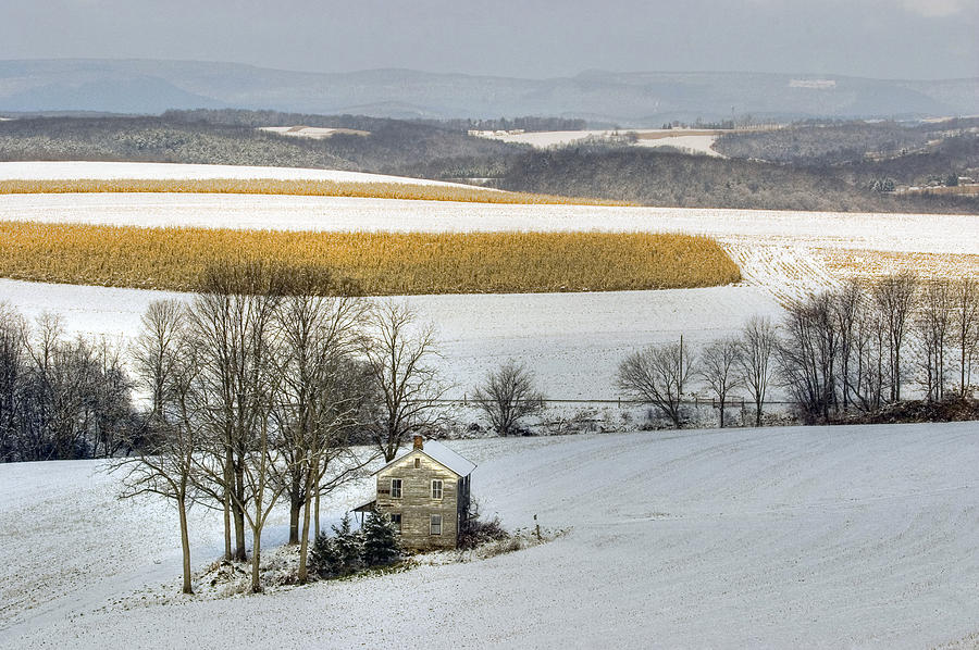 Winter Photograph - Frozen Winter Sunrise At The Forgotten Farmhouse by Gene Walls