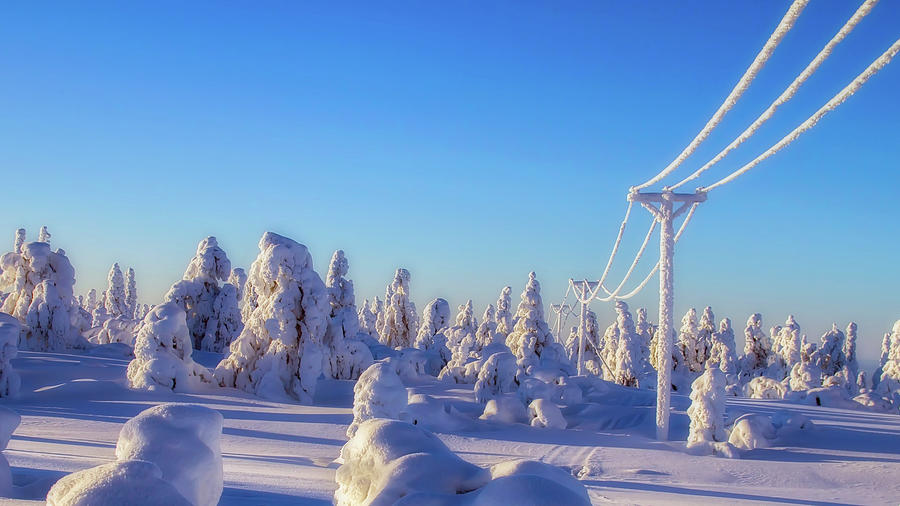Frozen Winter Wonderland Photograph by Mountain Dreams
