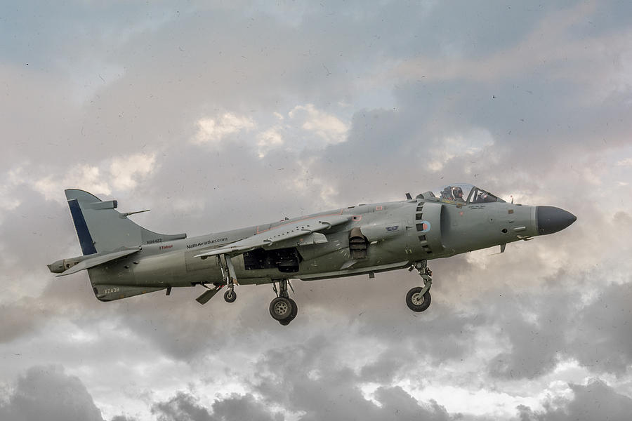FRS1 Sea Harrier on Vertical Approach Photograph by Guy Whiteley