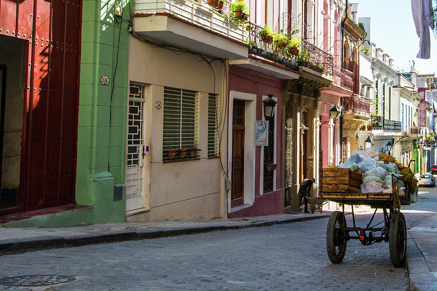 Fruit Cart in Havana, Cuba Pyrography by Nicole Freedman