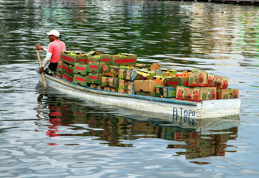 Fruit Delivery Photograph by Arthur Dodd