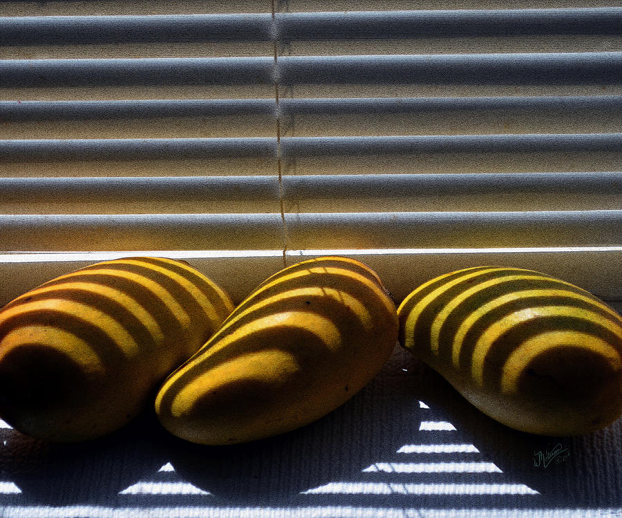 Fruit in the Window Photograph by W James Mortensen