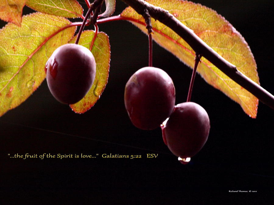  Fruit of the Spirit Photograph by Richard Thomas