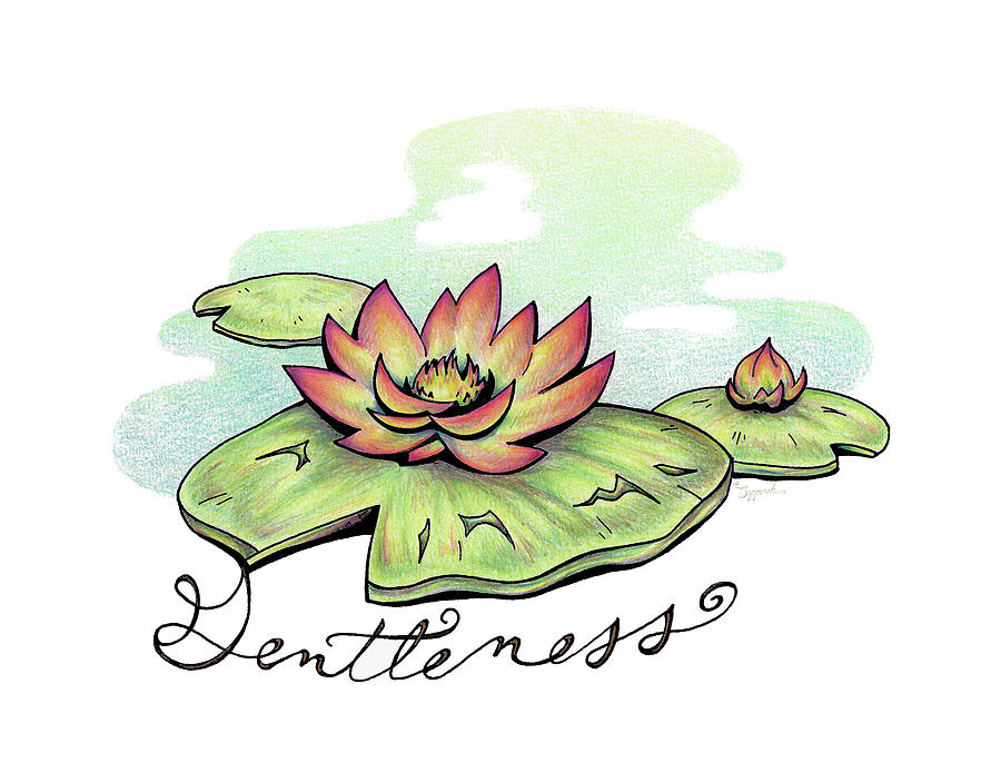 Inspirational Flower WATER LILY Drawing by Sipporah Art and Illustration