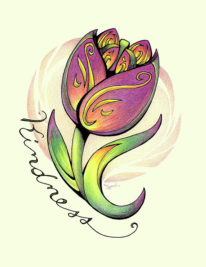 Inspirational Flower TULIP Drawing by Sipporah Art and Illustration