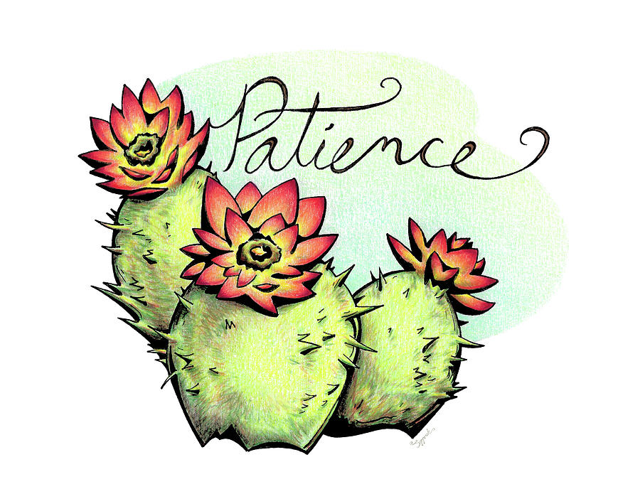  Inspirational Flower CACTUS Drawing by Sipporah Art and Illustration