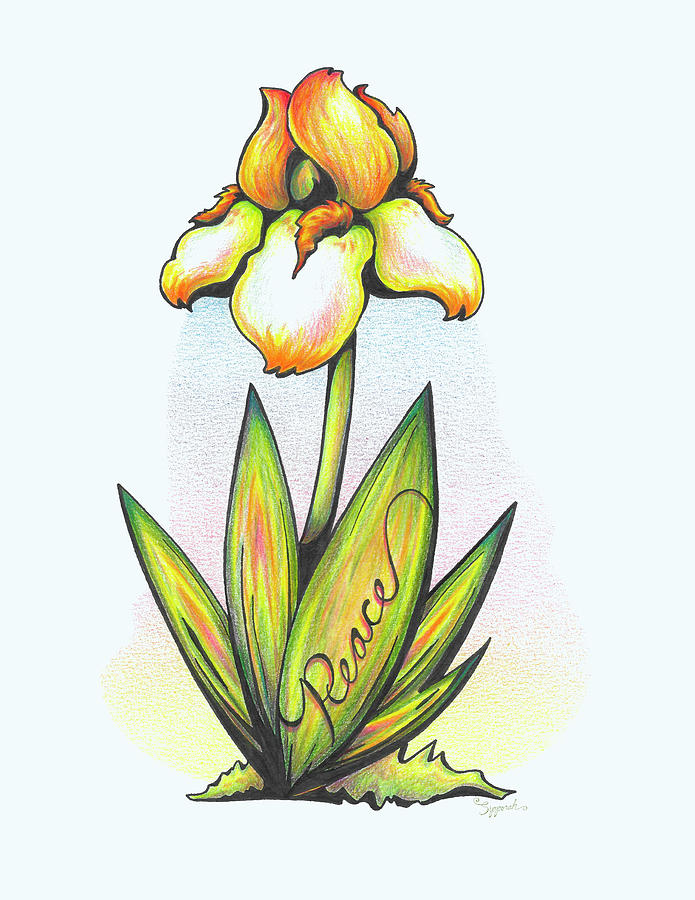 Inspirational Flower IRIS Drawing by Sipporah Art and Illustration