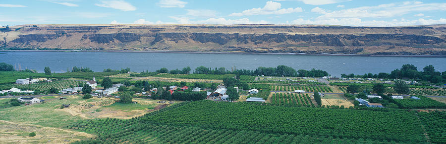 Fruit Orchards, Columbia River Gorge Photograph by Panoramic Images