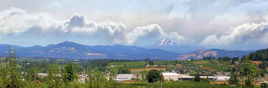 Fruit Orchards in Hood River Oregon Panorama Photograph by David Gn