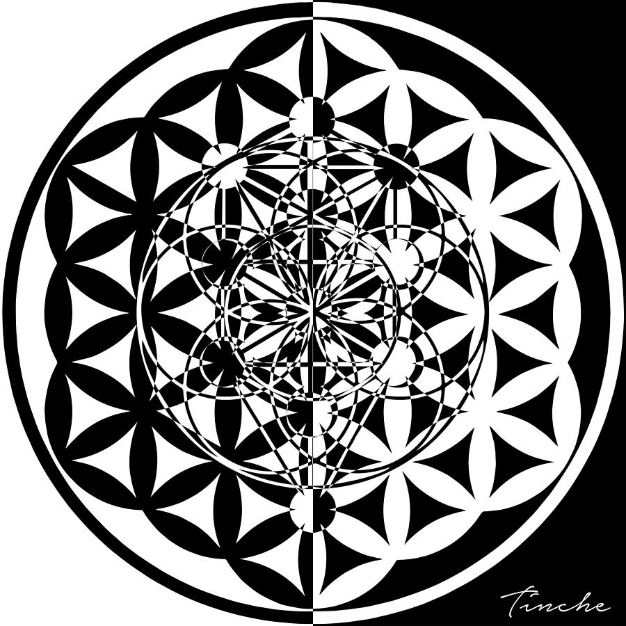 Black And White Digital Art - Fruit Seed Flower of Life  by Tinche InvARTe