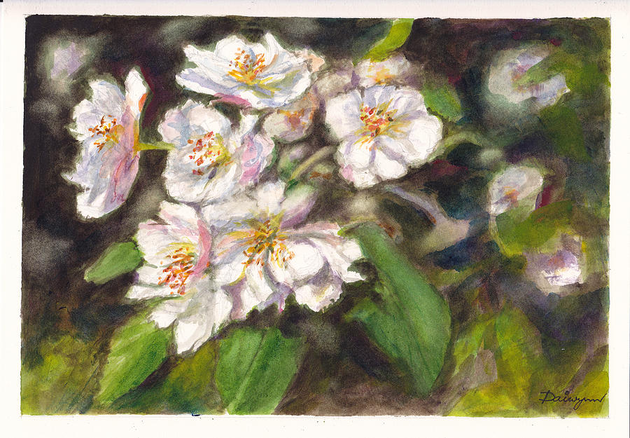 Fruit Tree Blossom Painting by Dai Wynn