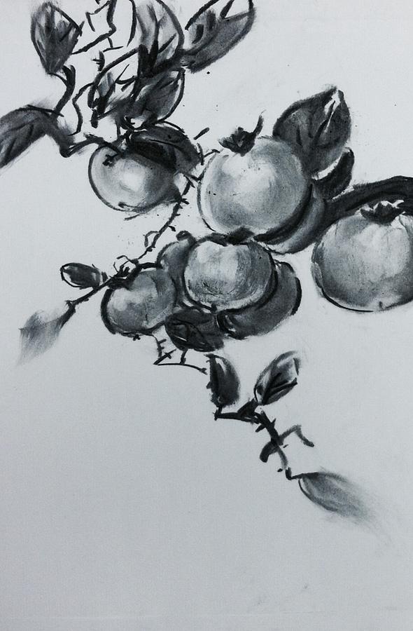 Fruit tree Drawing by Hae Kim