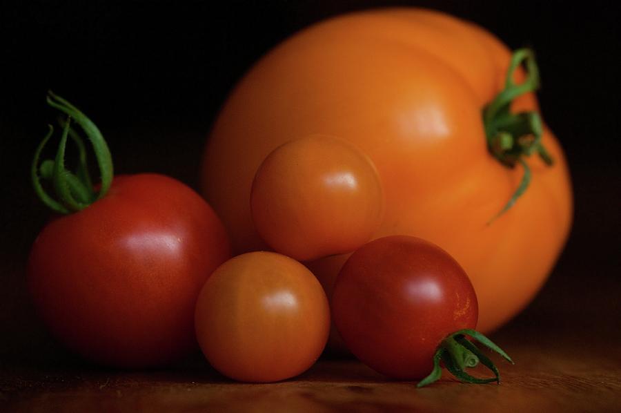 Fruits Of Labor Fresh Tomato Harvest Photograph