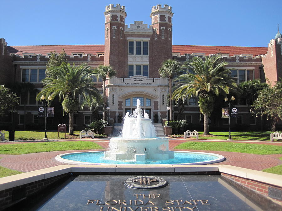 FSU Photograph by Mily Iriarte - Fine Art America