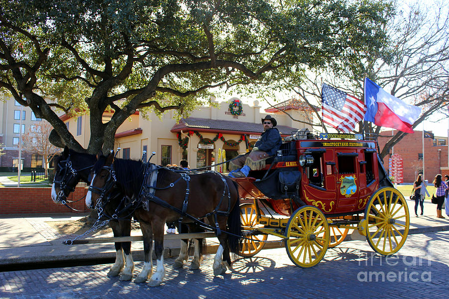 Ft Worth Stockyards Stagecoach  Photograph by Kathy White