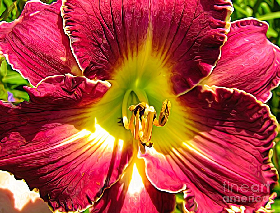 Flower Photograph - Fuchsia and Yellow Daylily Macro Expressionist Effect by Rose Santuci-Sofranko
