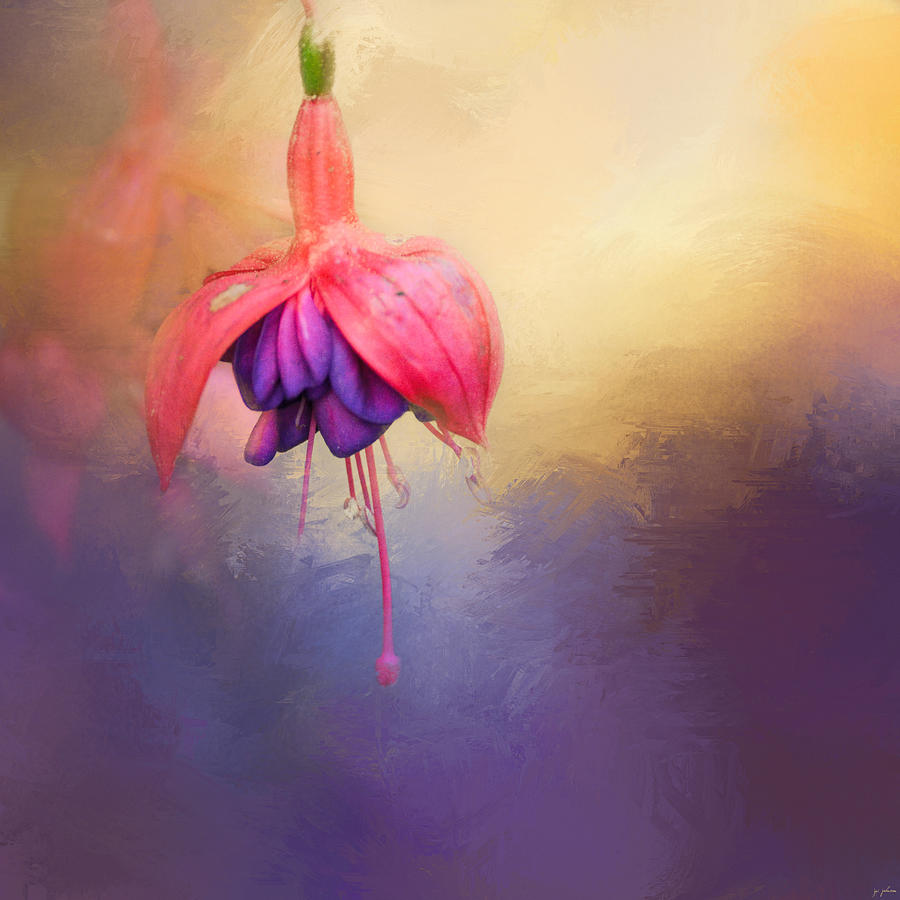 Flower Photograph - Fuchsia Drop by Jai Johnson