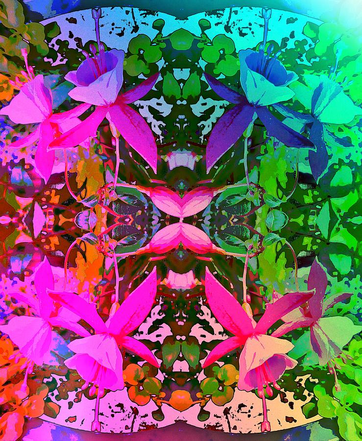 Fuchsia Fiesta by Caroline Evans Fuchsia Fiesta by Caroline Evans