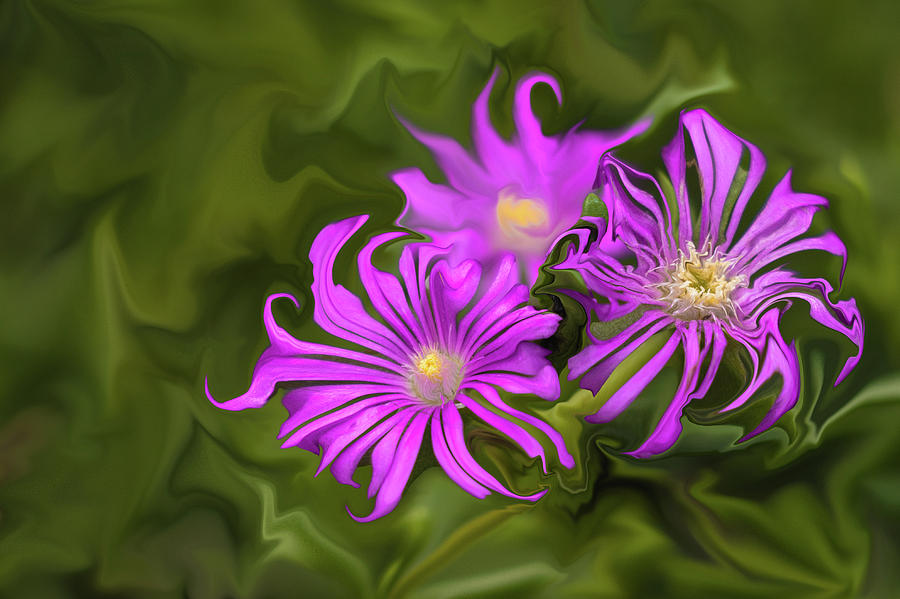Fuchsia flower - digital painting Digital Art by Cristina Stefan