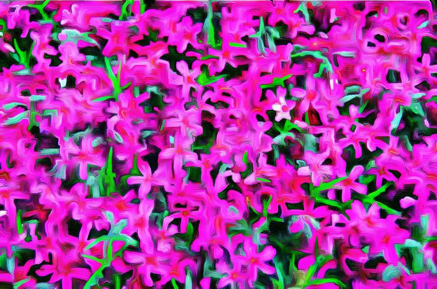 Fuchsia Ground-cover - Rosea Ice Plant Photograph by Jeffrey Canha