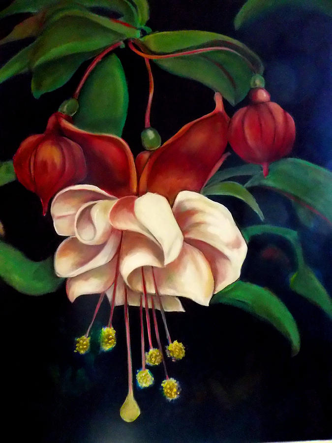 Fuchsias Painting by Irena Mohr