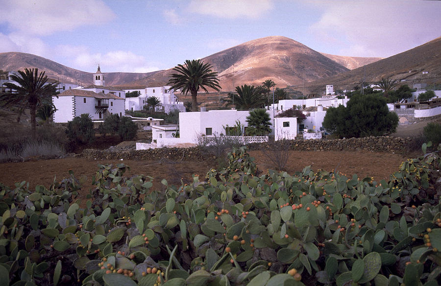 Fuerteventura IV Photograph by Flavia Westerwelle