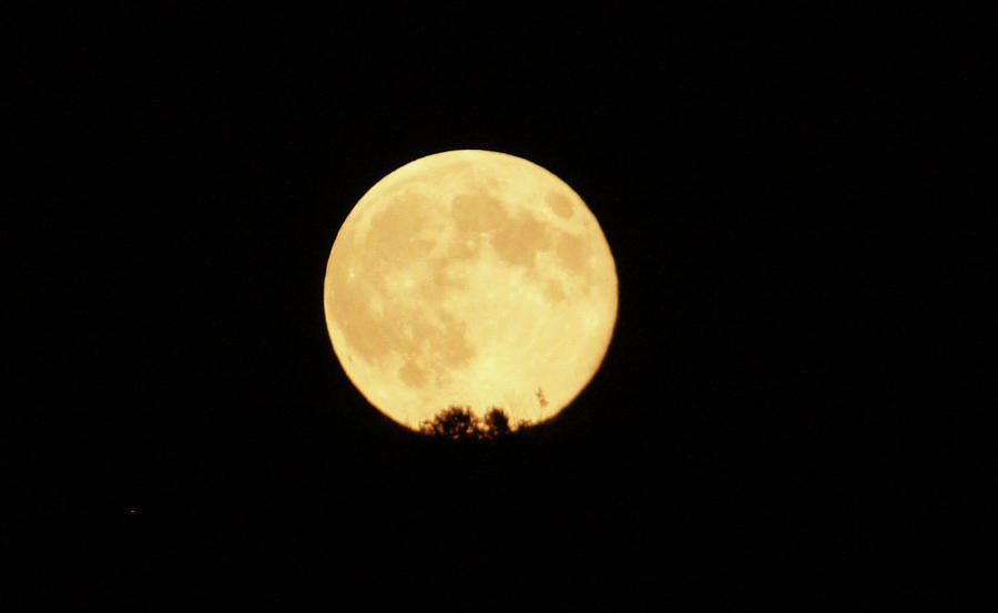 Full August Moon Photograph by Emily Conrad Fine Art America