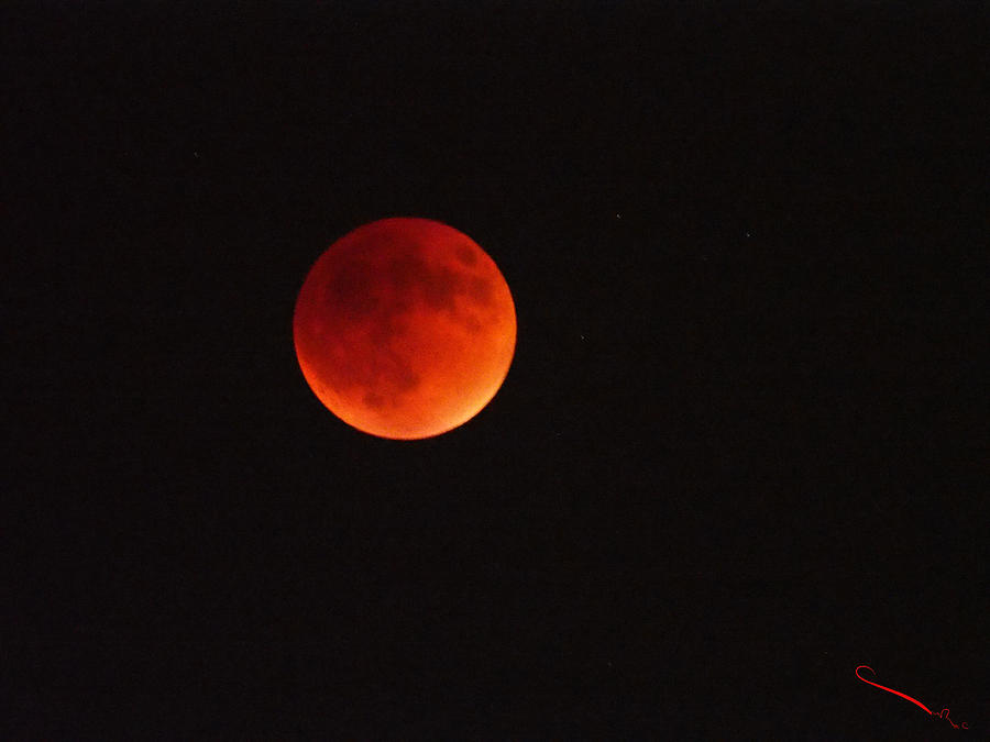 Full Blood Moon Eclipse  Photograph by SM Shahrokni