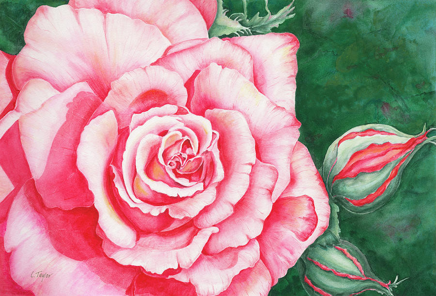 Full Bloom Painting by Lori Taylor
