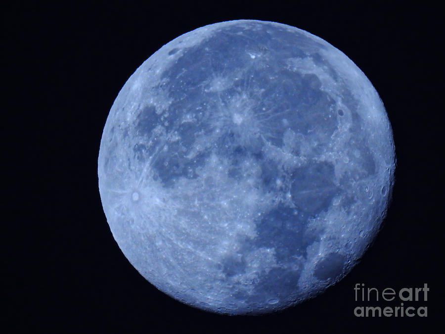 Full Blue Moon Photograph by Beth Myer Photography