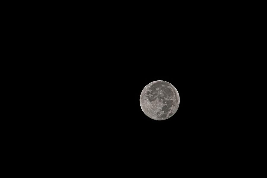 Full Buck Moon Photograph by Michiale Schneider