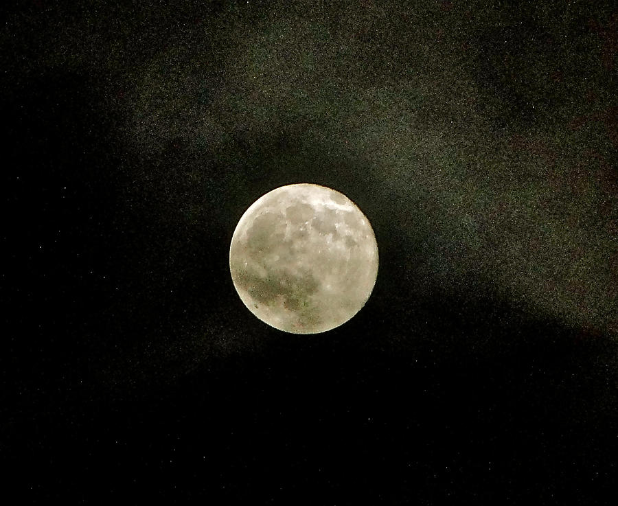 Full Moon - October 2010 Photograph by Liz Vernand