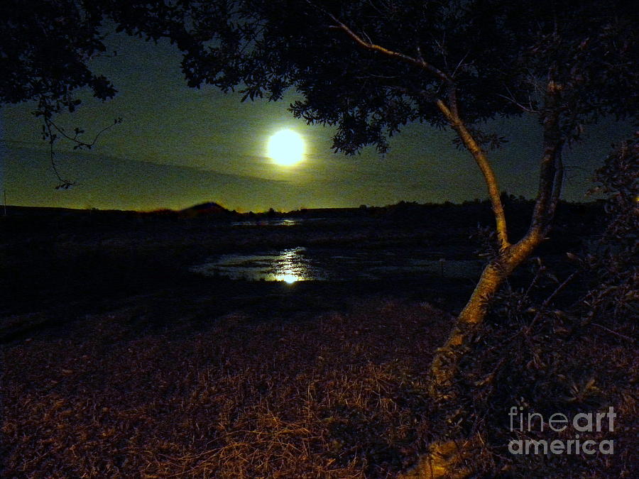 Full Moon 02 Photograph by Terri Mills