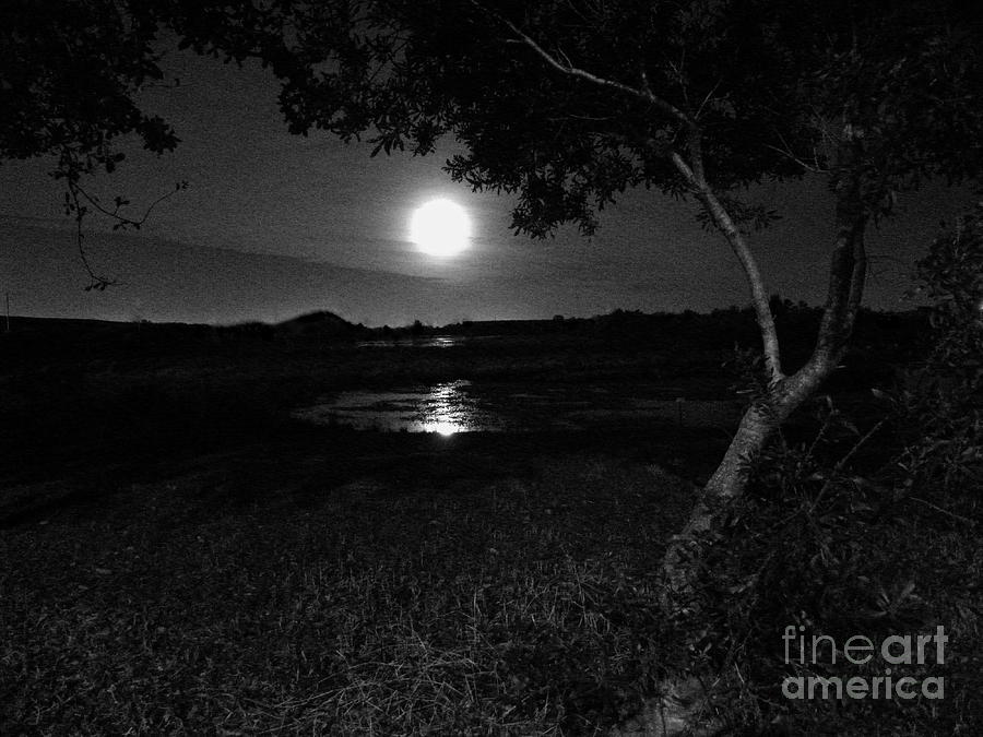 Full Moon 05 Photograph by Terri Mills