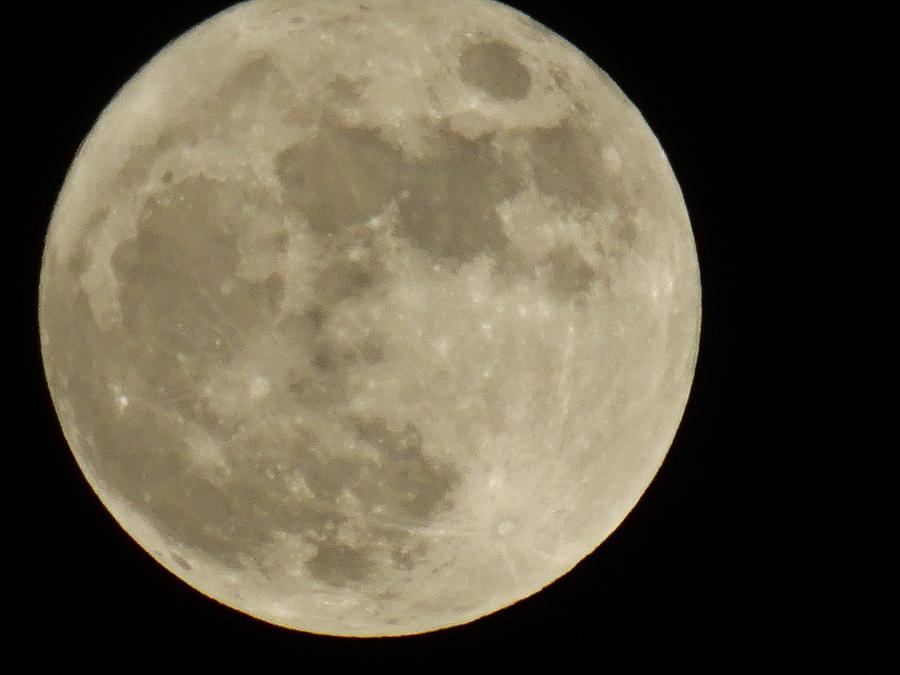 Full Moon 11/25/15 Photograph by Mikki Cucuzzo