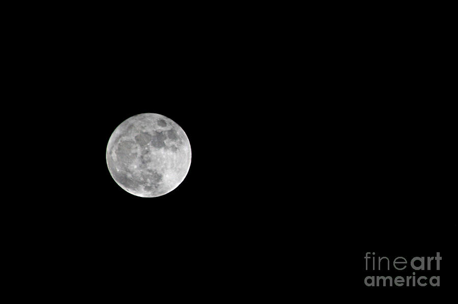 Full Moon Photograph by Afrodita Ellerman