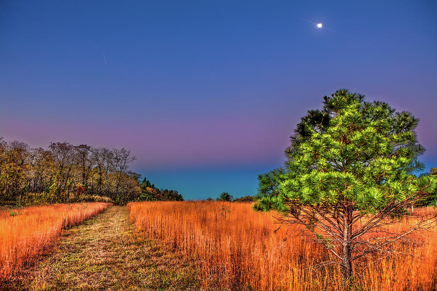 Full Moon and Falling Stars in the Blue Ridge Photograph by Dan Carmichael