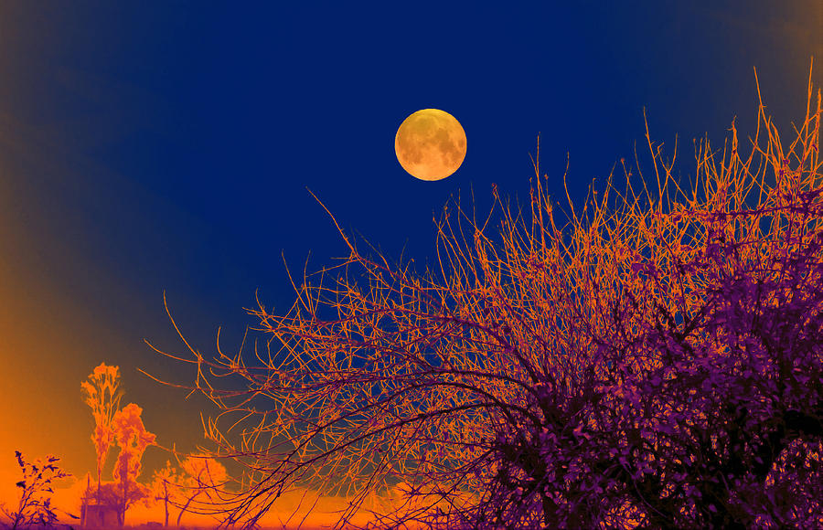 Full Moon And The Night Glow Digital Art By Bliss Of Art - Fine Art America