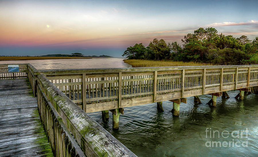 Full Moon at Heritage Shores Nature Preserve Photograph by David Smith