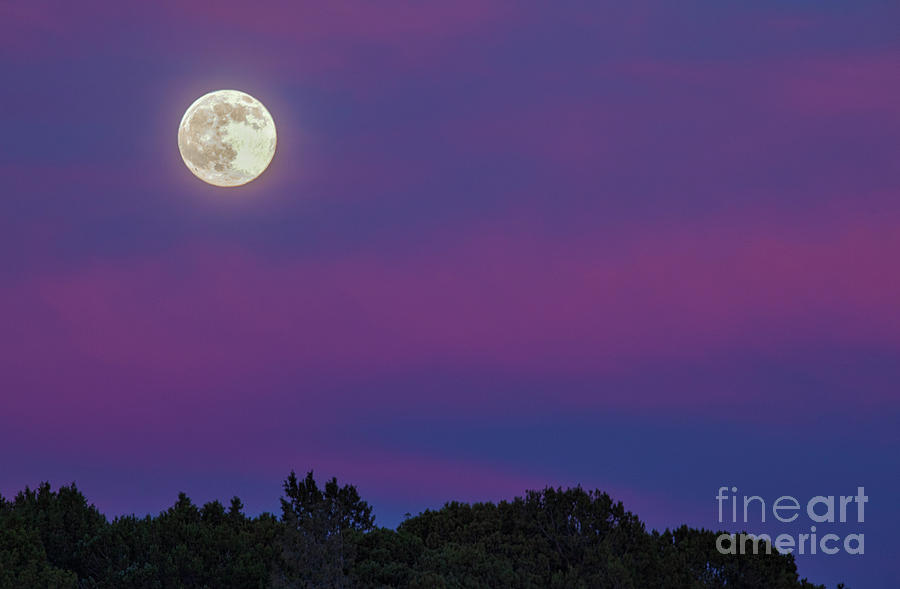 Full Moon at Sunset Photograph by Bret Barton