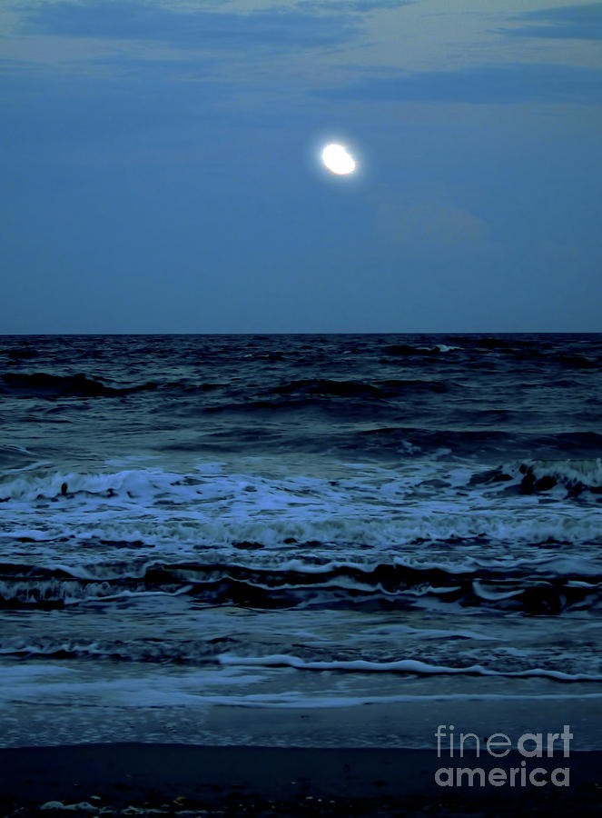 Full Moon At The Beach Photograph by D Hackett