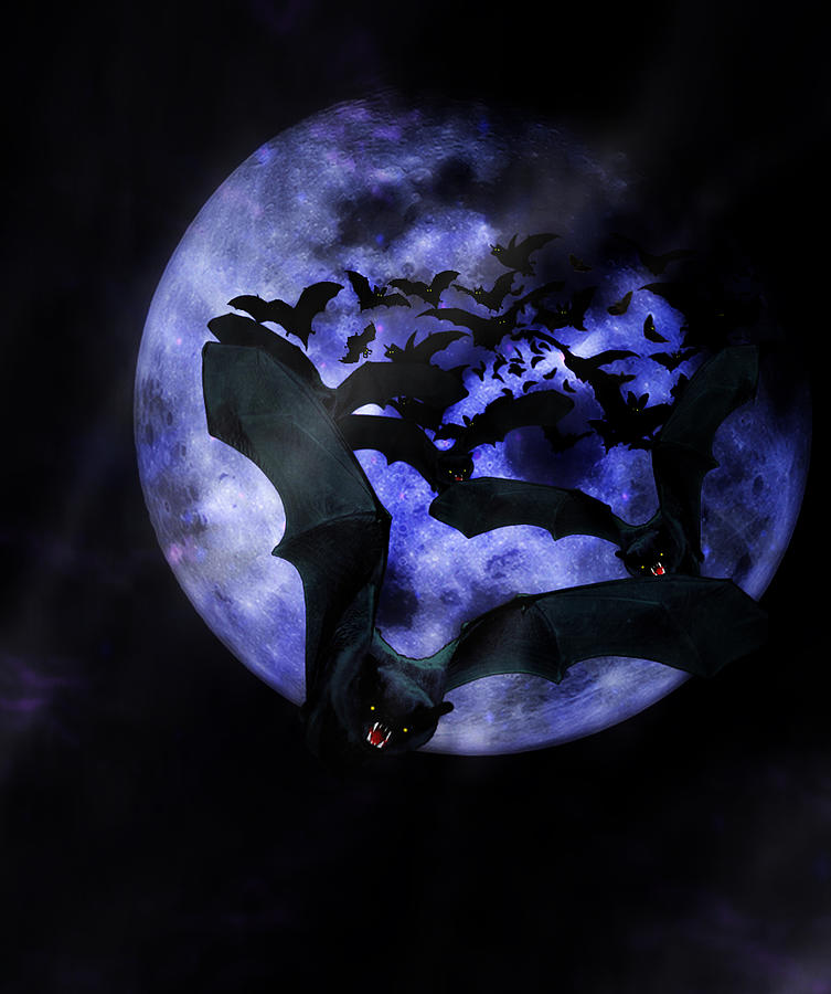 Full Moon Bats Mixed Media by Gravityx9  Designs