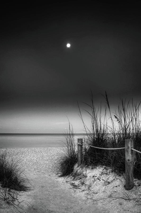 Full Moon Beach In Black and White Photograph by Greg and Chrystal Mimbs