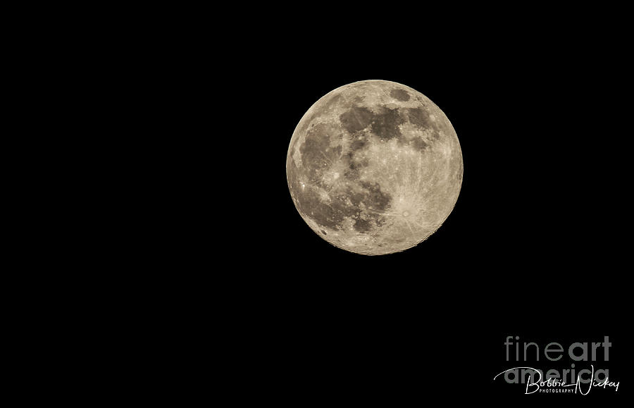 Full Moon Photograph - Full Moon by Bobbie Nickey