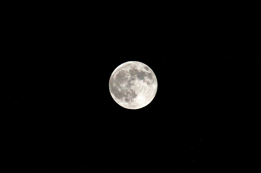 Full Moon Photograph by Brad Scott
