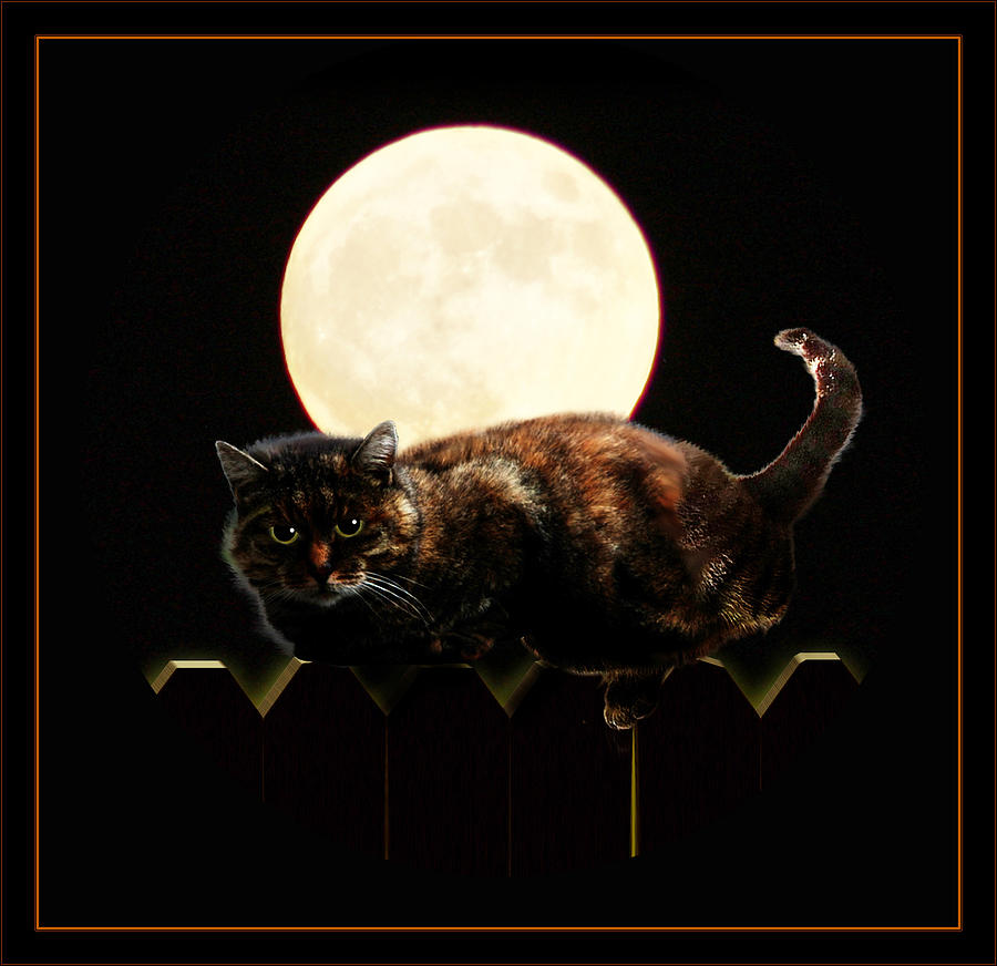 Full Moon Cat Mixed Media by Gravityx9 Designs