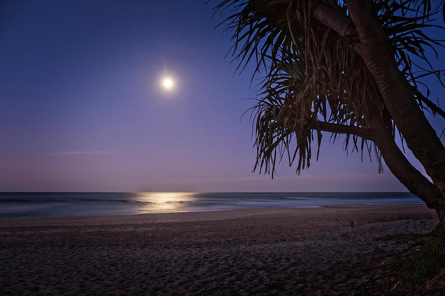 Full Moon Photograph by Catherine Reading
