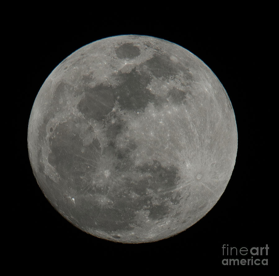Full Moon Closeup Photograph by Dale Powell