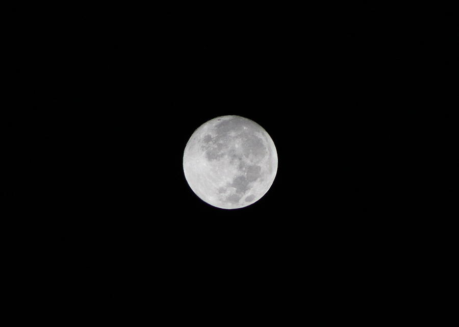 Full Moon Photograph by Colleen Cornelius