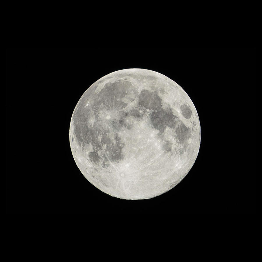 Full Moon Photograph - Full Moon by Dan Jordan